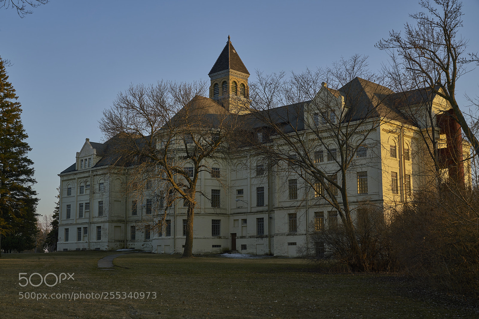 Sony a7R II sample photo. Noble photography