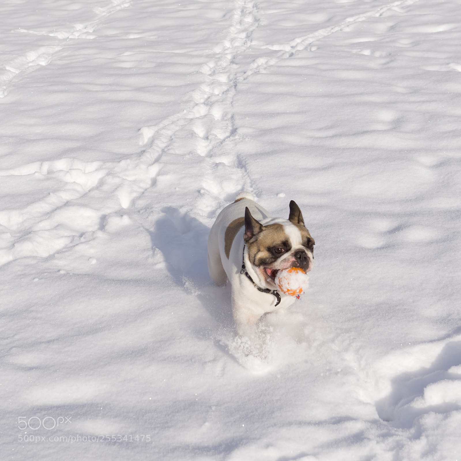 Sony a6000 sample photo. 500px.jpg photography