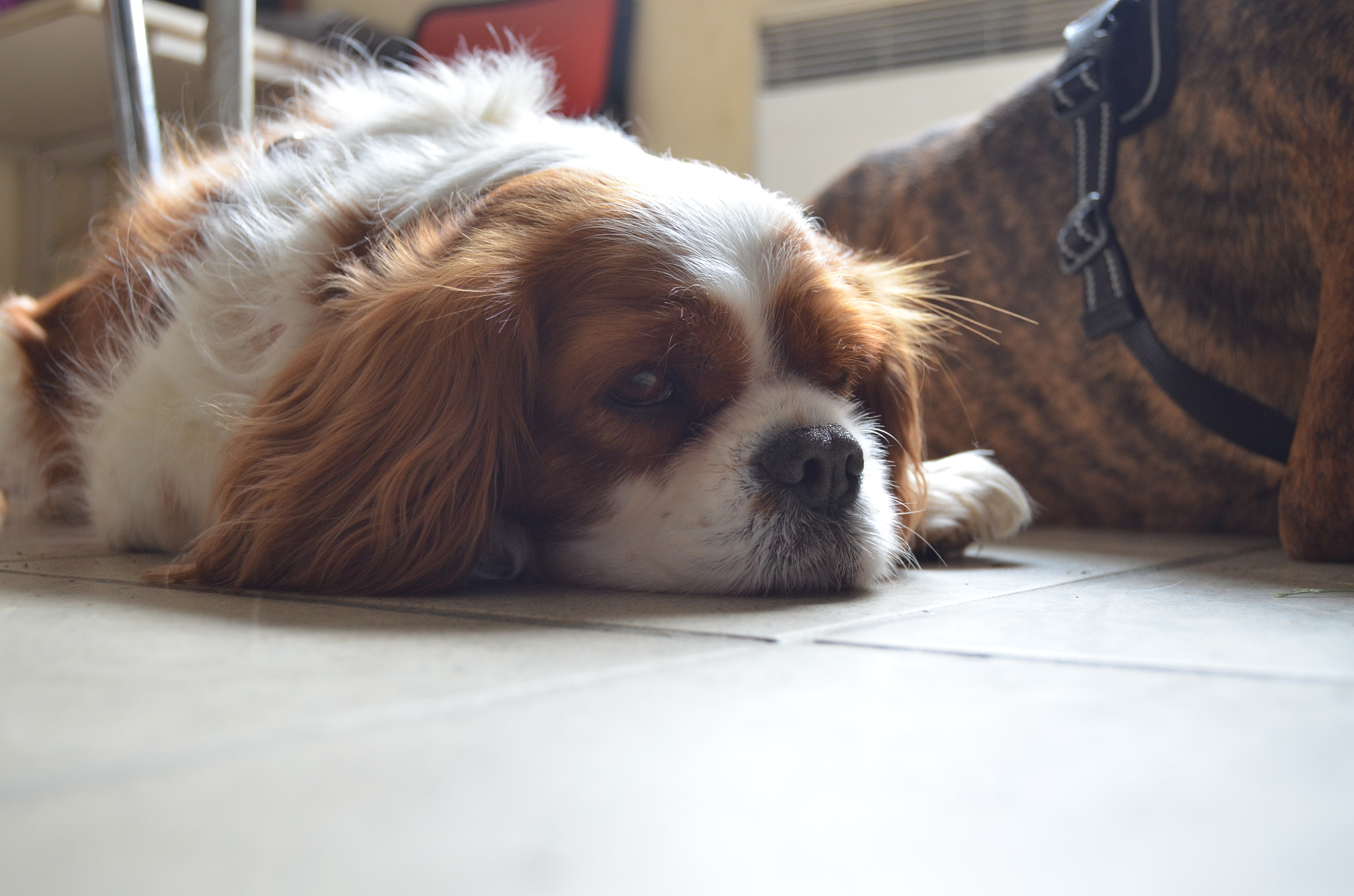 Nikon D5100 sample photo