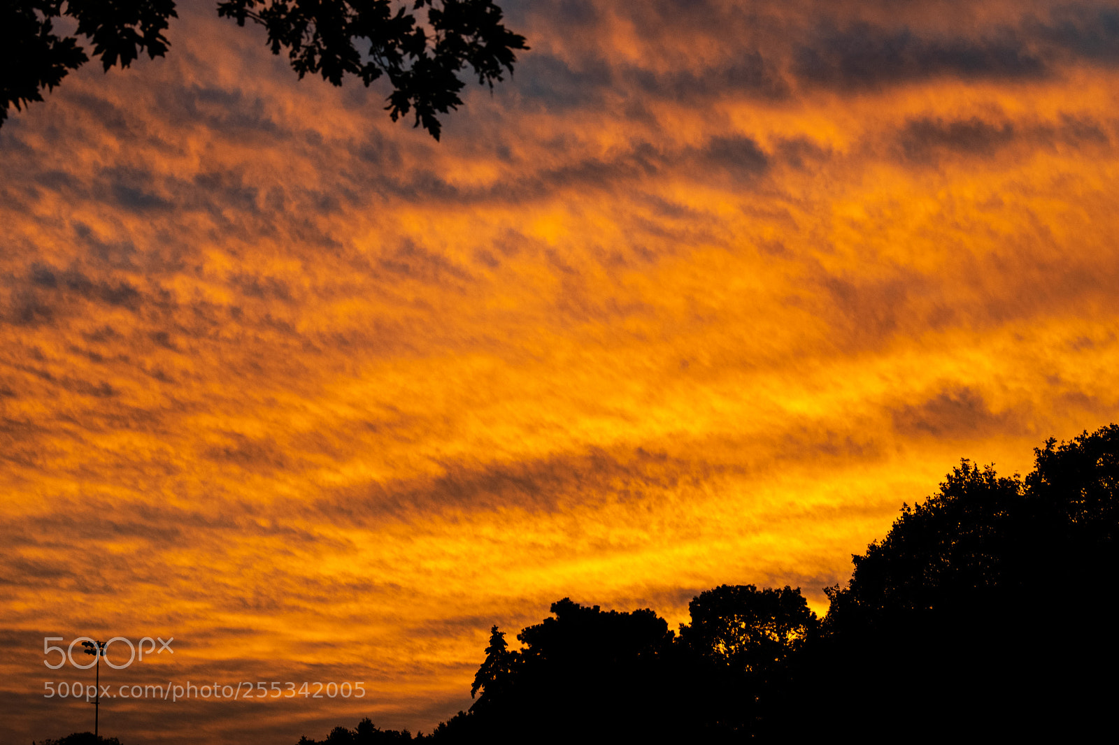 Nikon D3300 sample photo. A streaming fall sunset photography