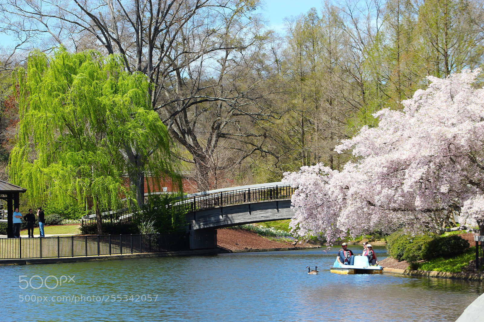 Canon EOS 1300D (EOS Rebel T6 / EOS Kiss X80) sample photo. Spring dates photography