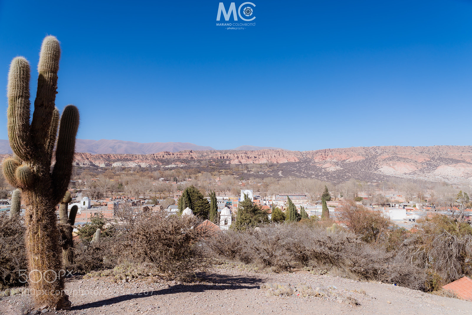 Nikon D610 sample photo. Clean and dry photography