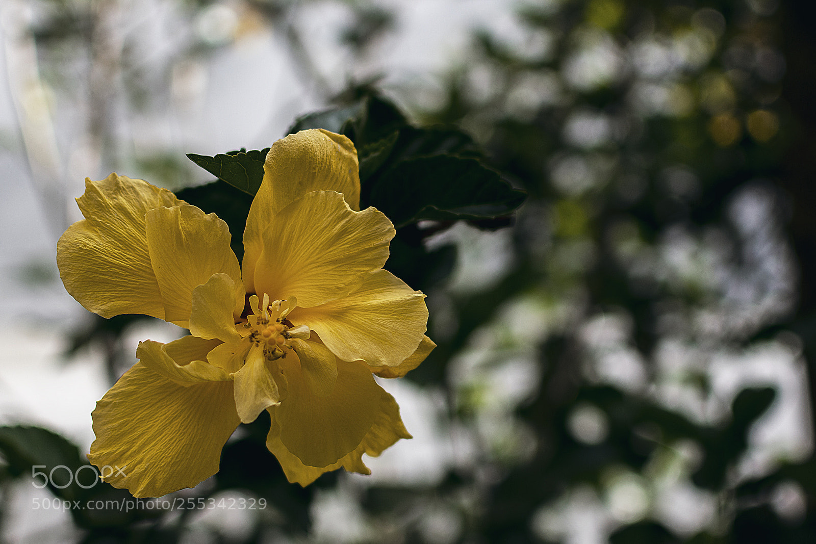 Nikon D3400 sample photo. Untitled photography