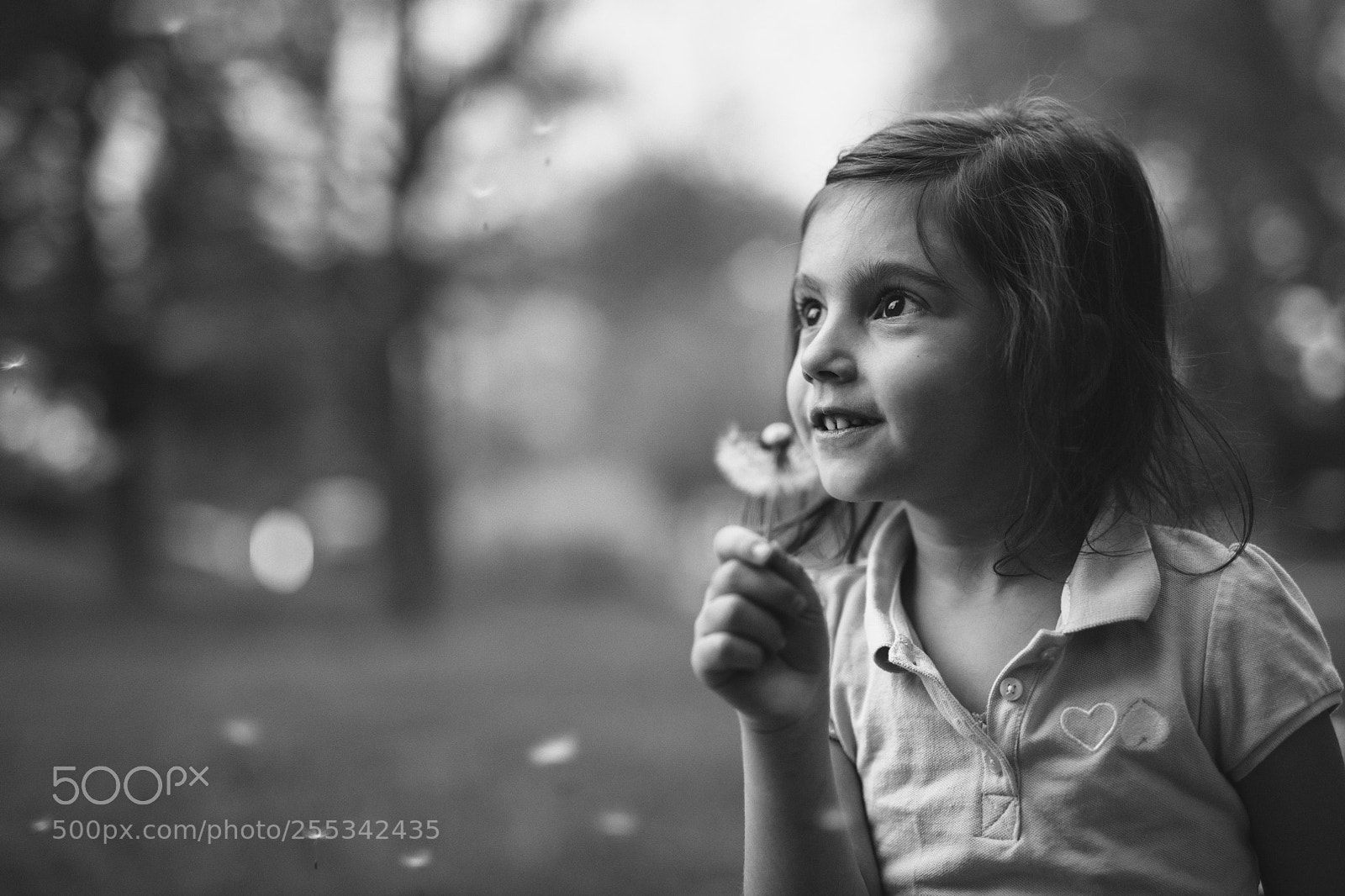 Nikon D850 sample photo. Sweet child of mine photography