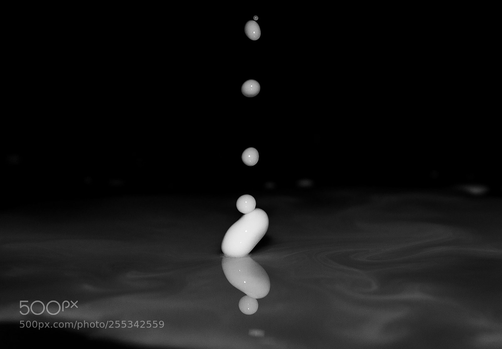 Canon EOS 1100D (EOS Rebel T3 / EOS Kiss X50) sample photo. Milk drops photography