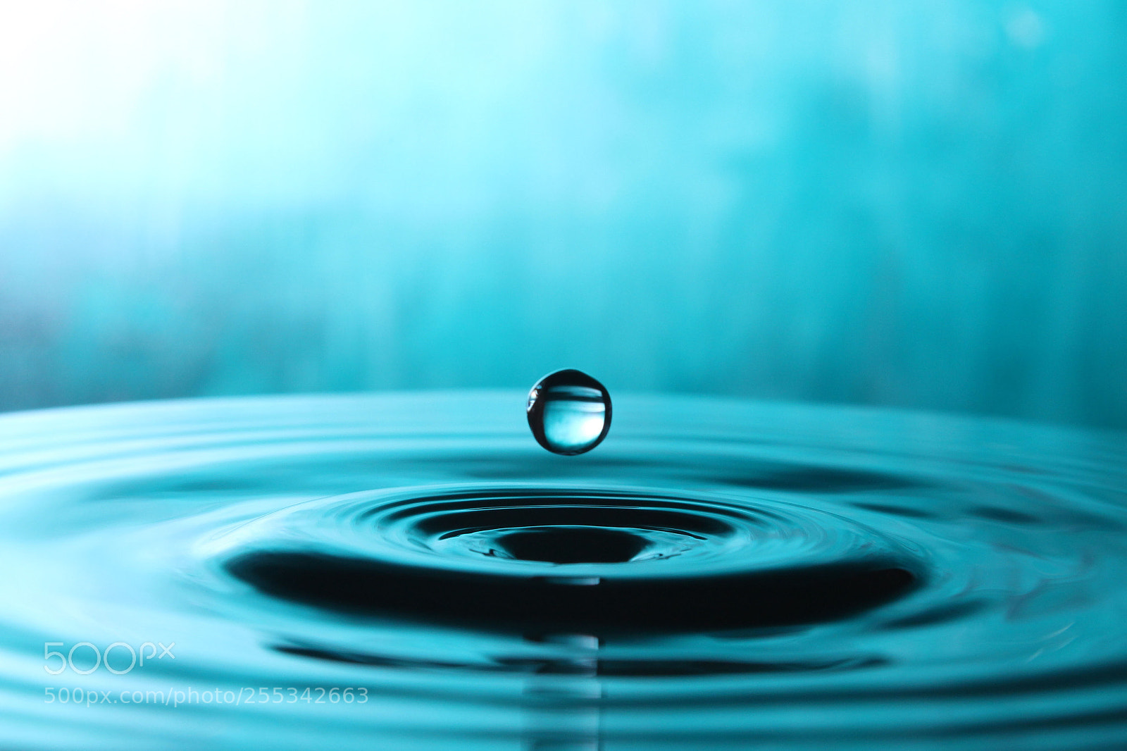 Canon EOS 1300D (EOS Rebel T6 / EOS Kiss X80) sample photo. Drip drop photography