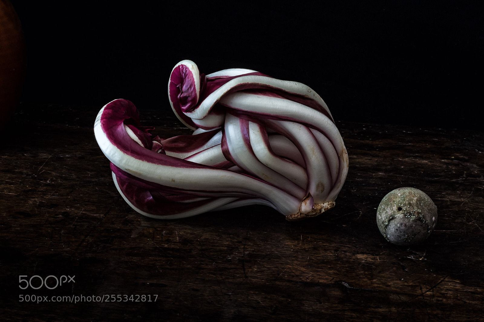 Sony a7R sample photo. Radicchio trevigiano photography