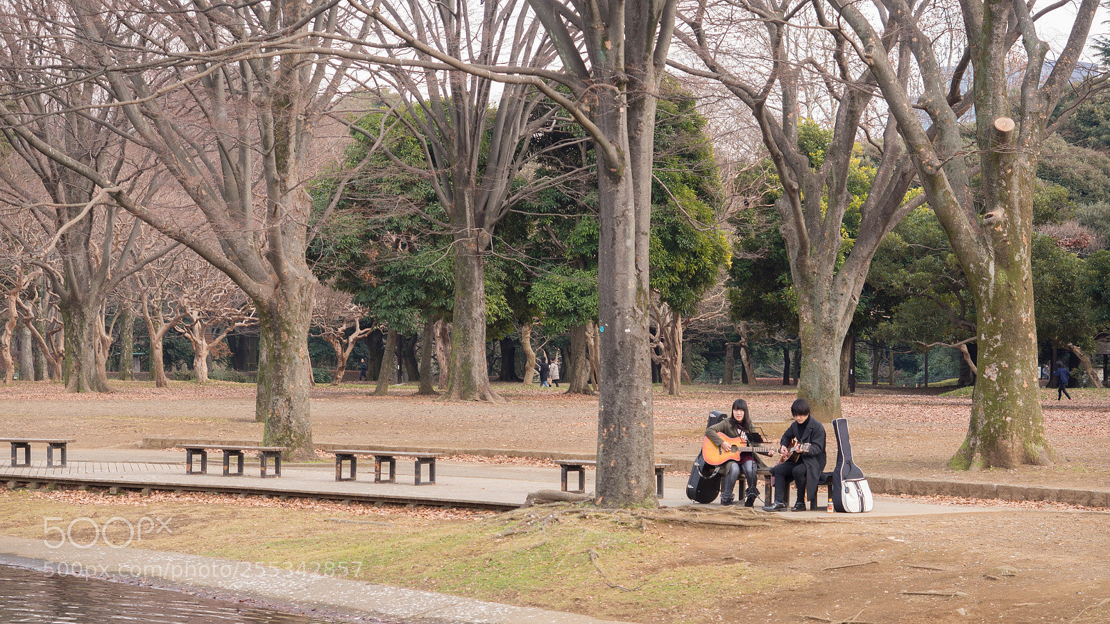 Olympus OM-D E-M10 sample photo. Will you sing with photography