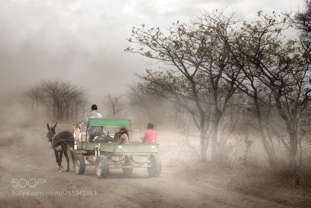 Canon EOS 5D Mark IV sample photo. Donkey cart in the photography