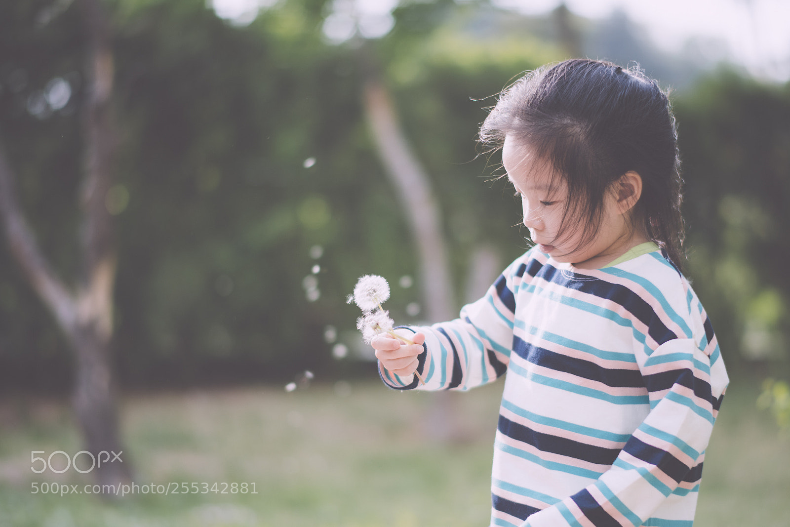 Nikon D850 sample photo. Yoon photography
