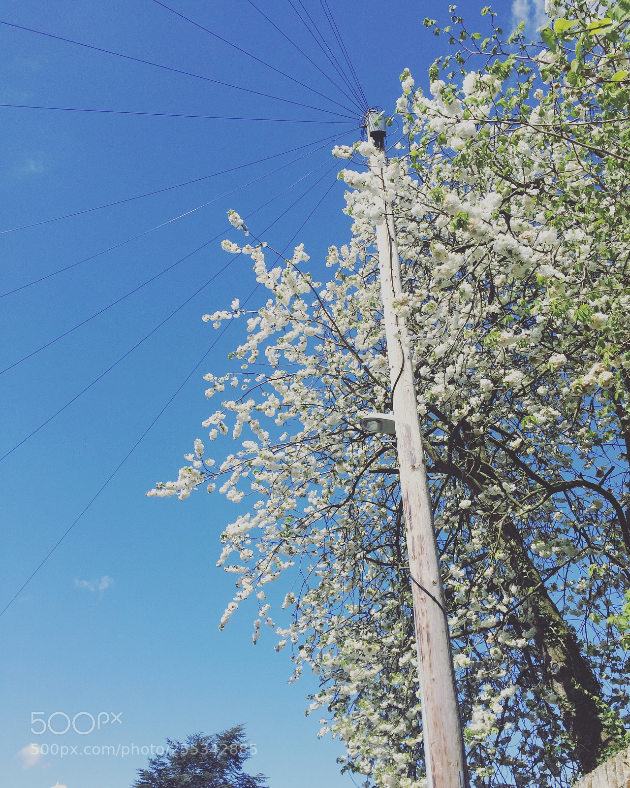 Apple iPhone 6 sample photo. Untitled photography