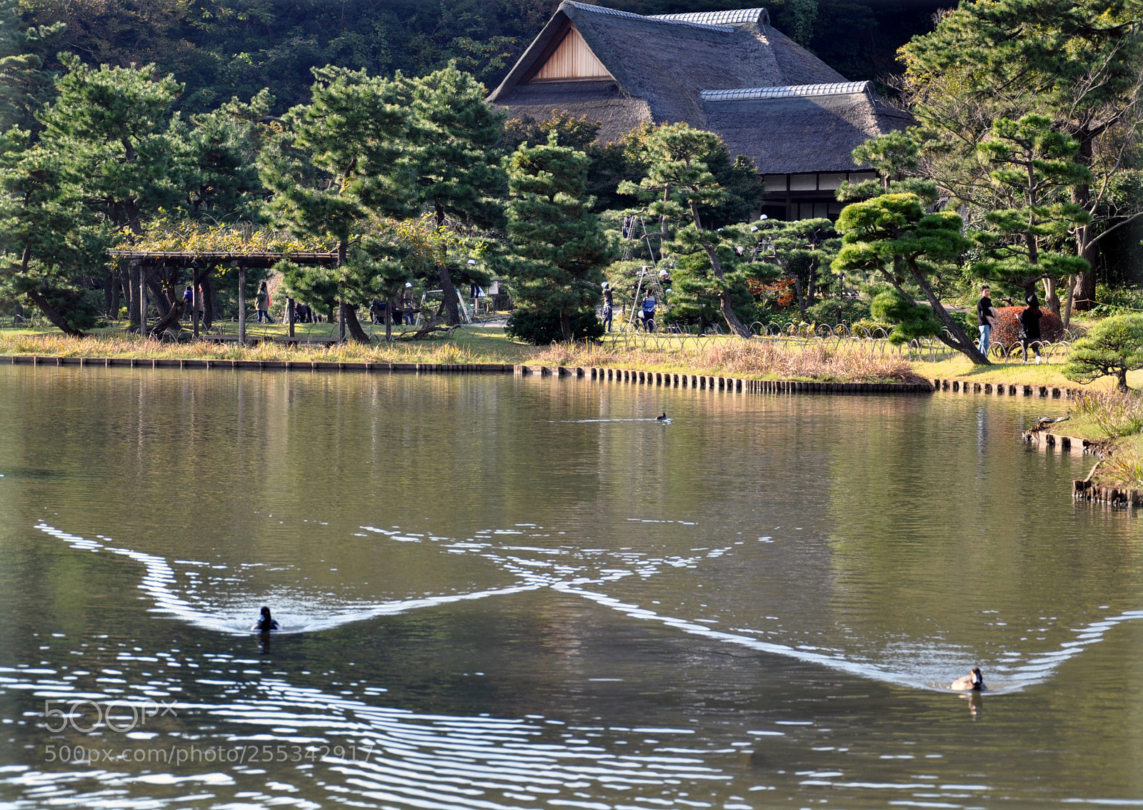 Nikon D90 sample photo. 호수위의 w photography