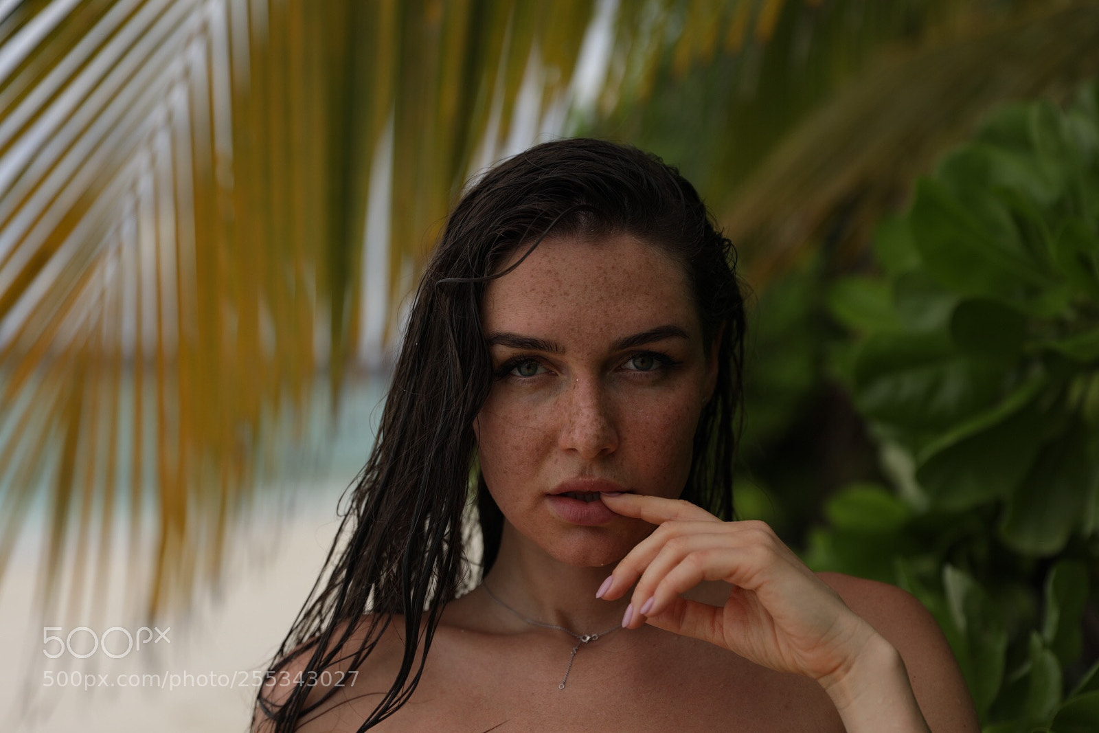 Canon EOS 5D Mark IV sample photo. My inspiration photography