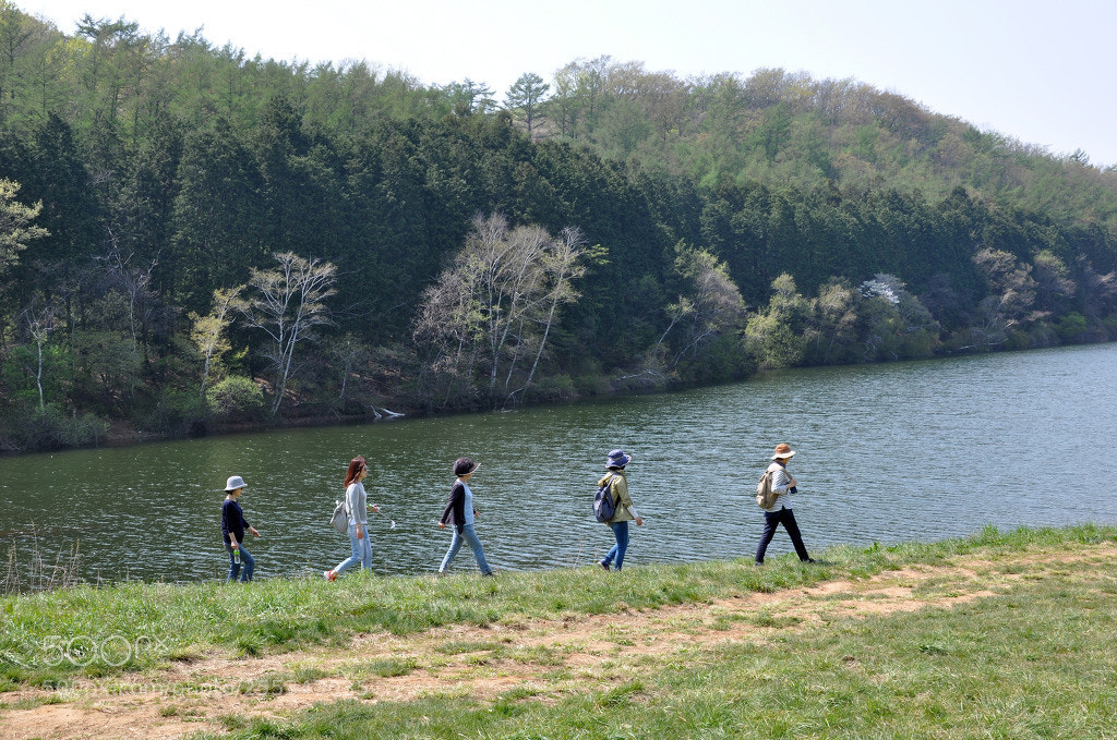 Nikon D90 sample photo. 함께 갑시다 photography