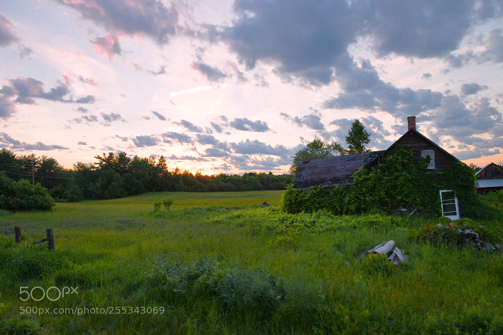 Canon EOS 5D Mark II sample photo. When the world was photography