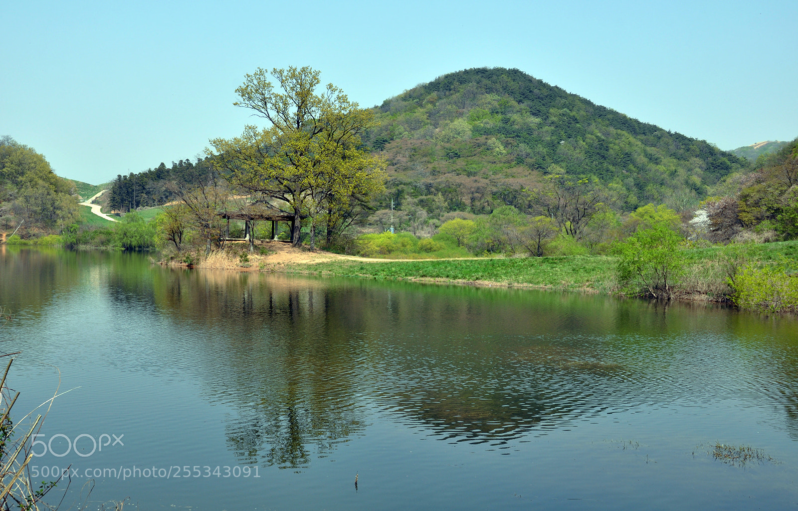 Nikon D90 sample photo. 내마음의 호수 photography