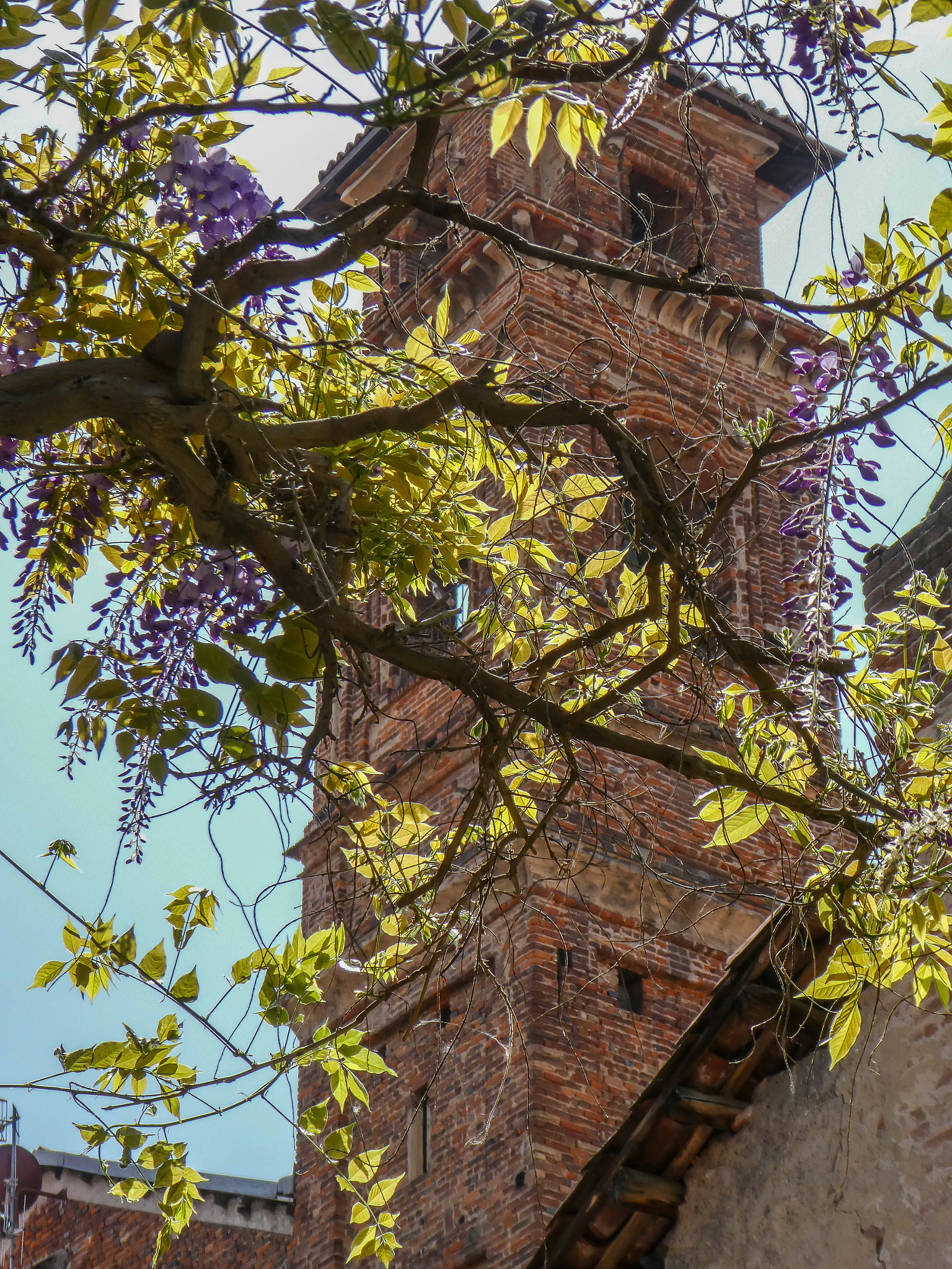 Panasonic Lumix DMC-ZS60 (Lumix DMC-TZ80) sample photo. Piemonte bra photography