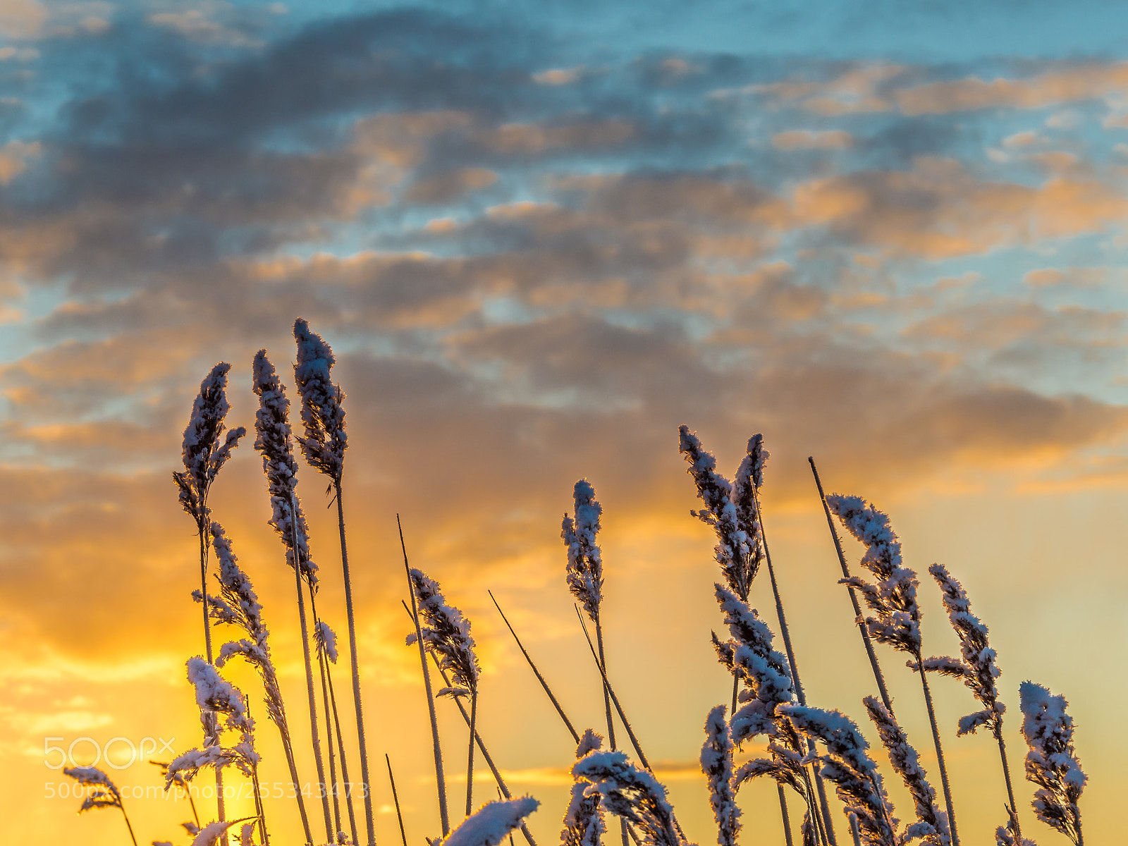 Nikon D3200 sample photo. Sunrise photography