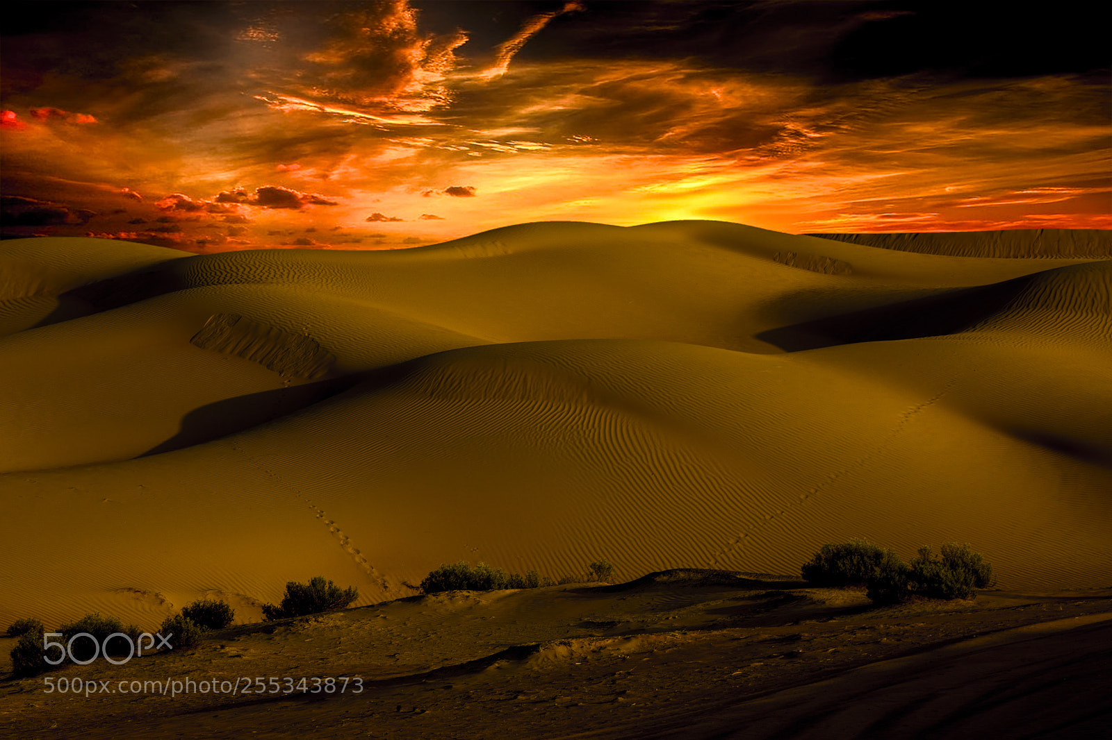 Canon EOS 5DS R sample photo. Liwa - uae photography