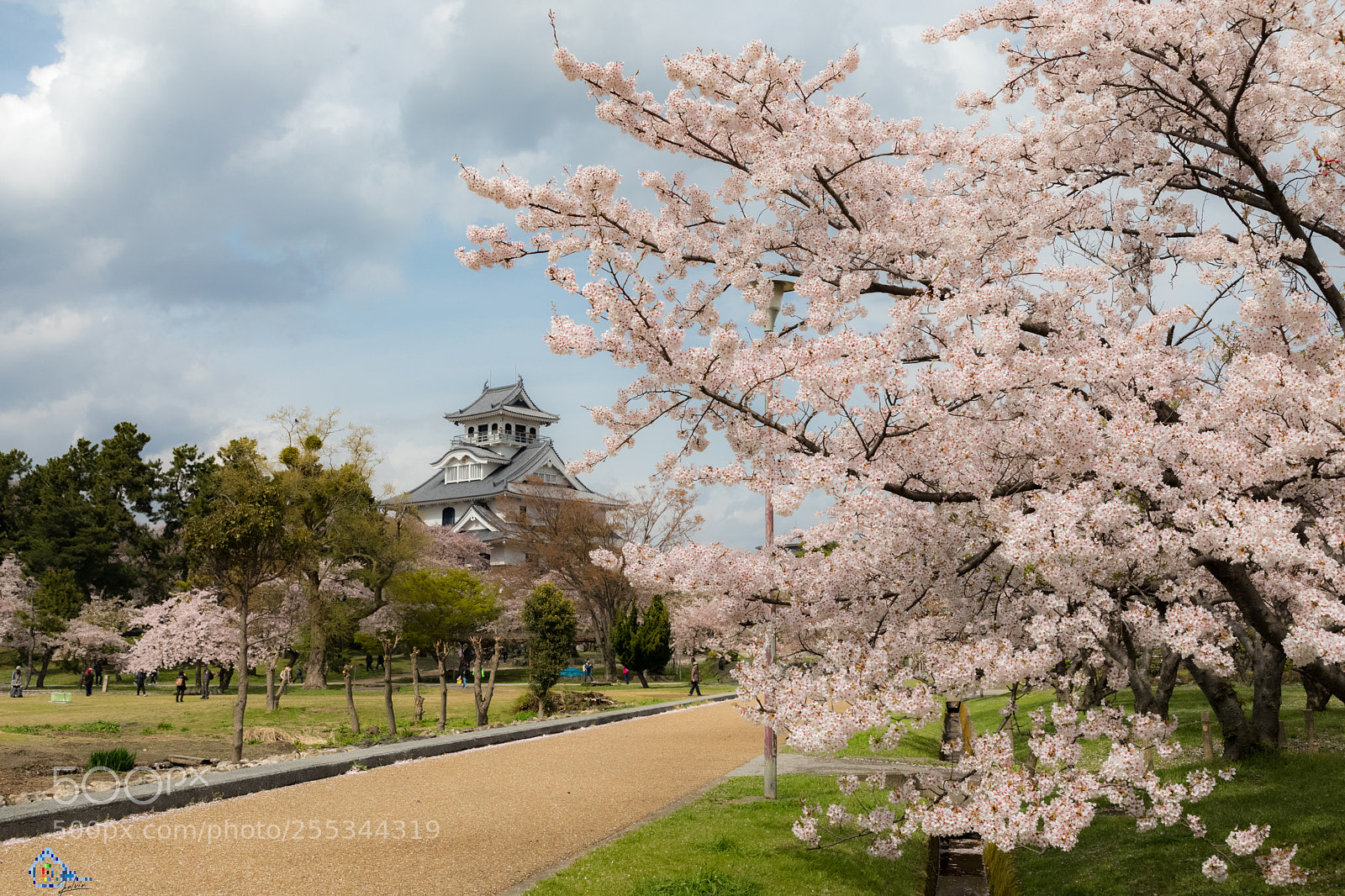 Canon EOS 5D Mark IV sample photo. 雲哥說到:只要你肯"花"點時間,城外必定還有春天 photography