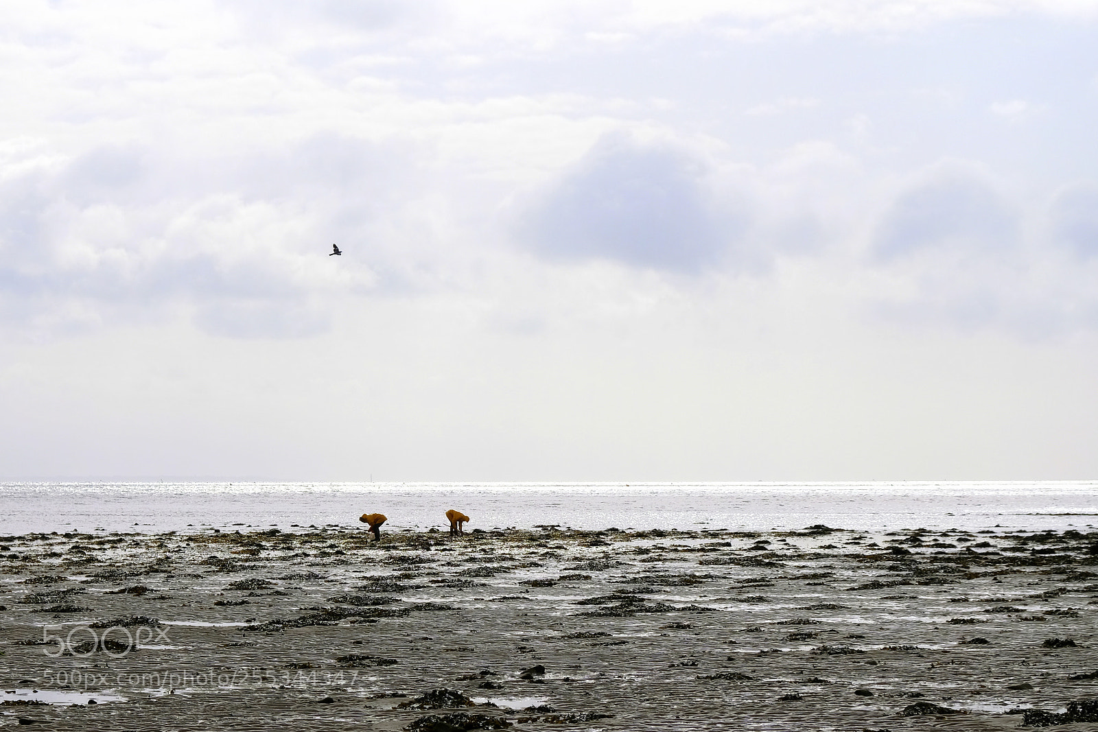 Fujifilm X-T20 sample photo. Yellow raincoats photography