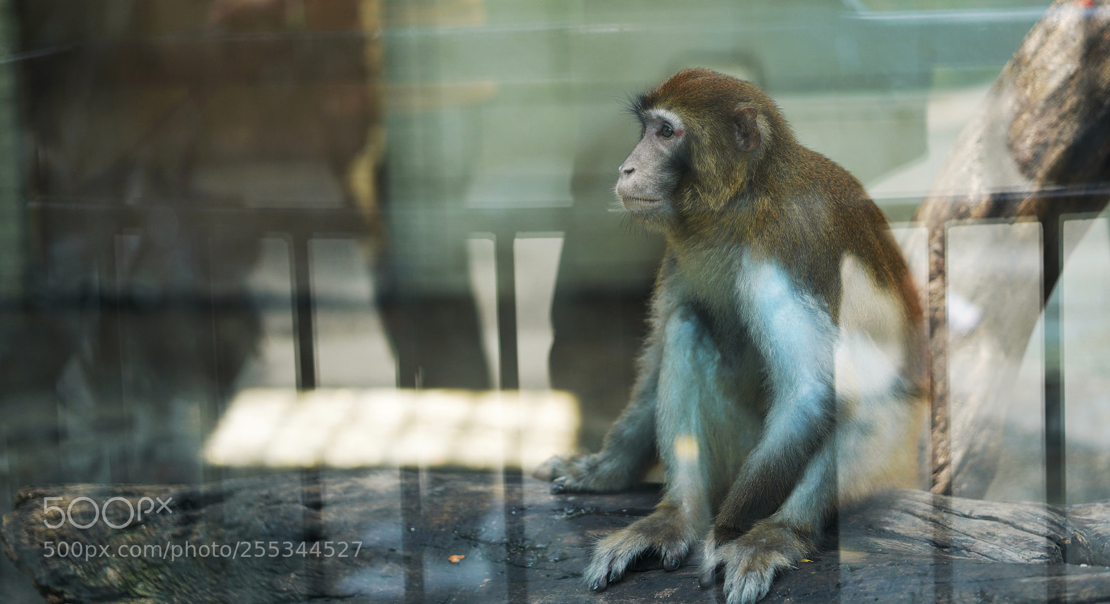 Sony a7R III sample photo. Untitled photography