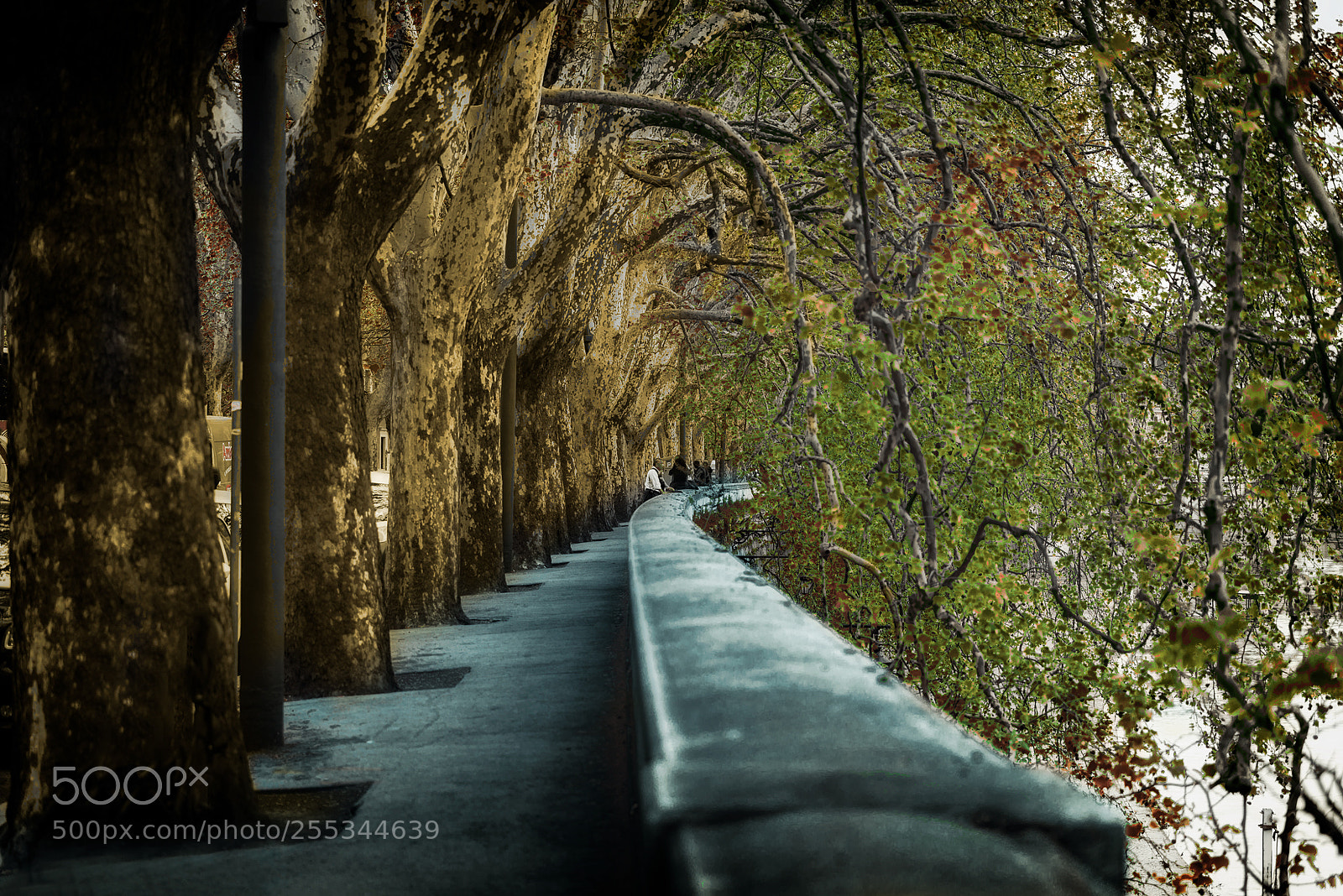 Nikon D600 sample photo. Lungotevere photography