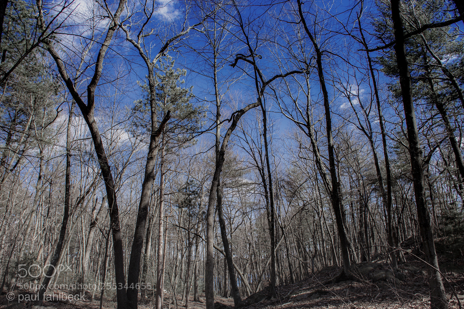 Nikon D7200 sample photo. Untitled  photography