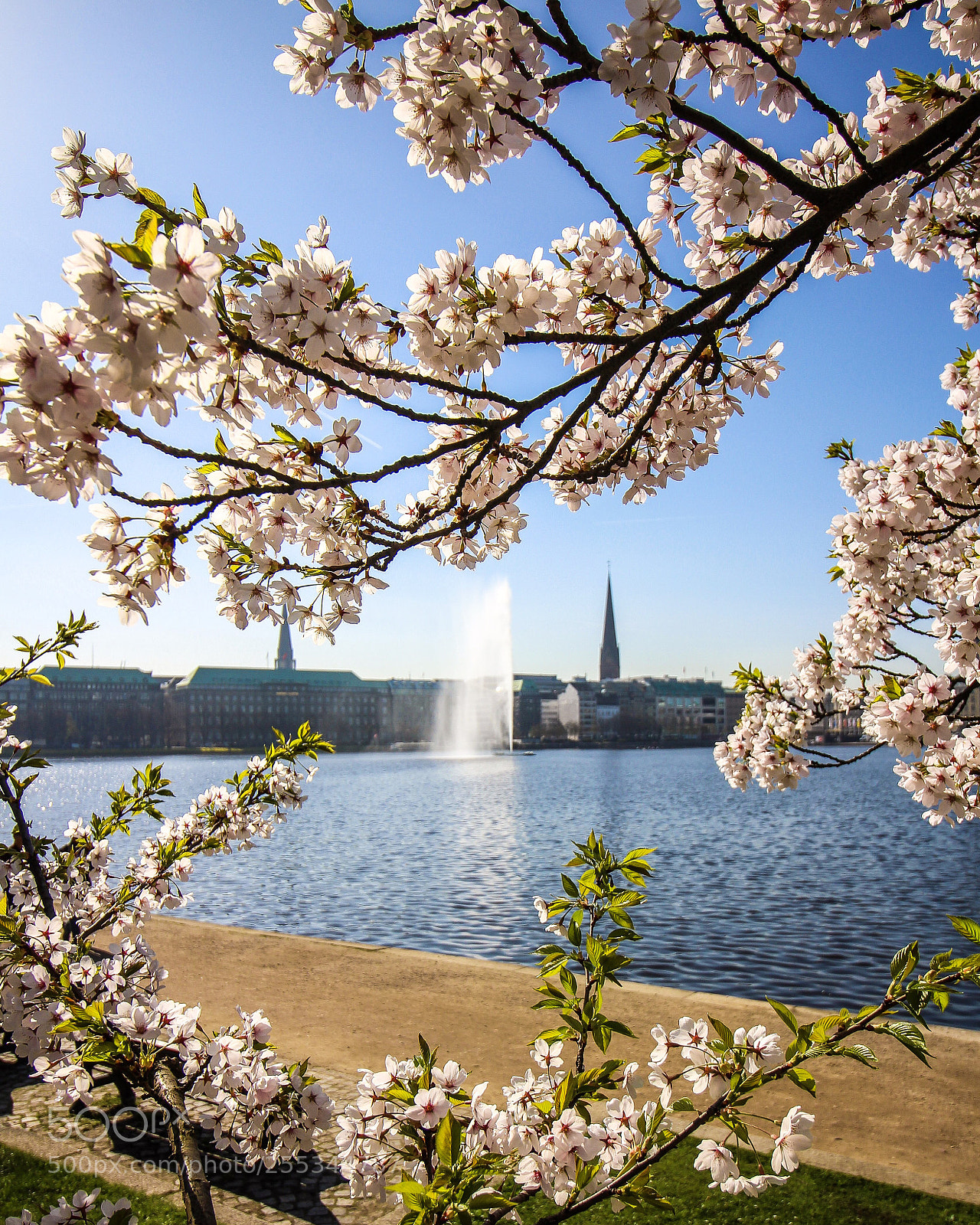Canon EOS 700D (EOS Rebel T5i / EOS Kiss X7i) sample photo. Hamburg binnenalster photography