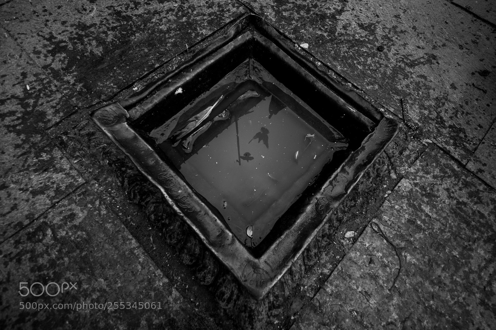 Nikon D7100 sample photo. Reflection photography
