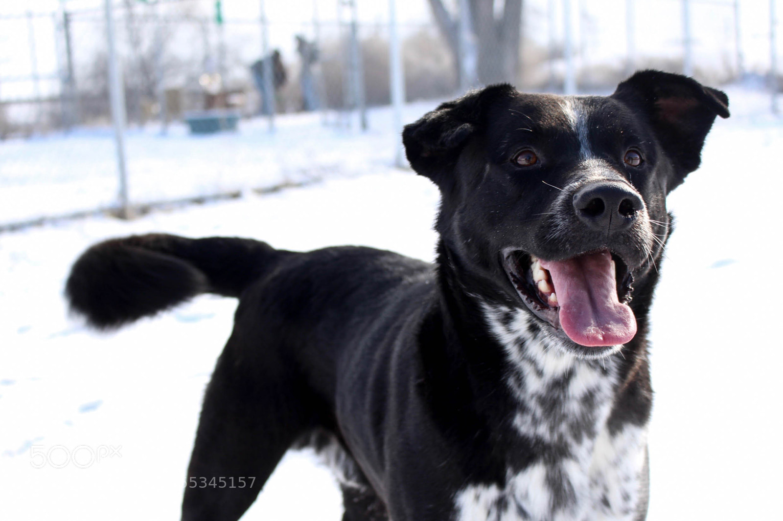 Canon EOS 700D (EOS Rebel T5i / EOS Kiss X7i) sample photo. Last import of photography