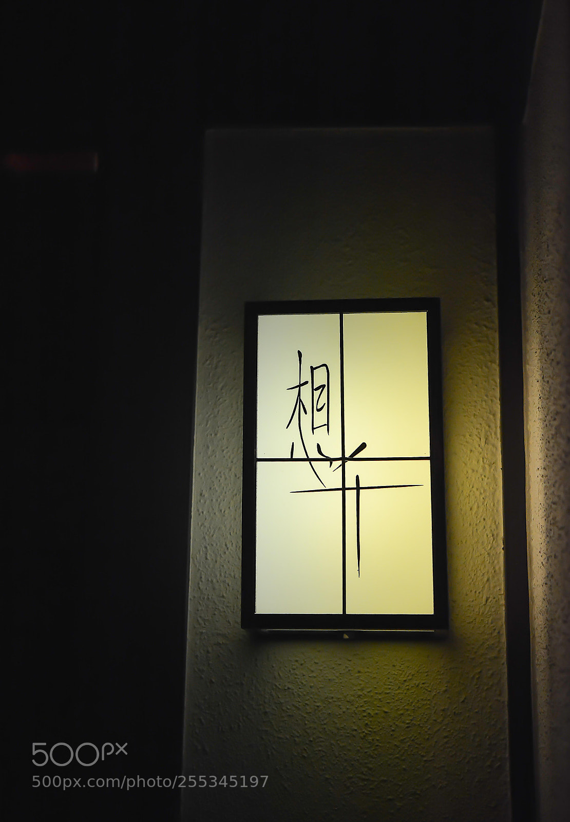Nikon D7100 sample photo. Framework of light photography