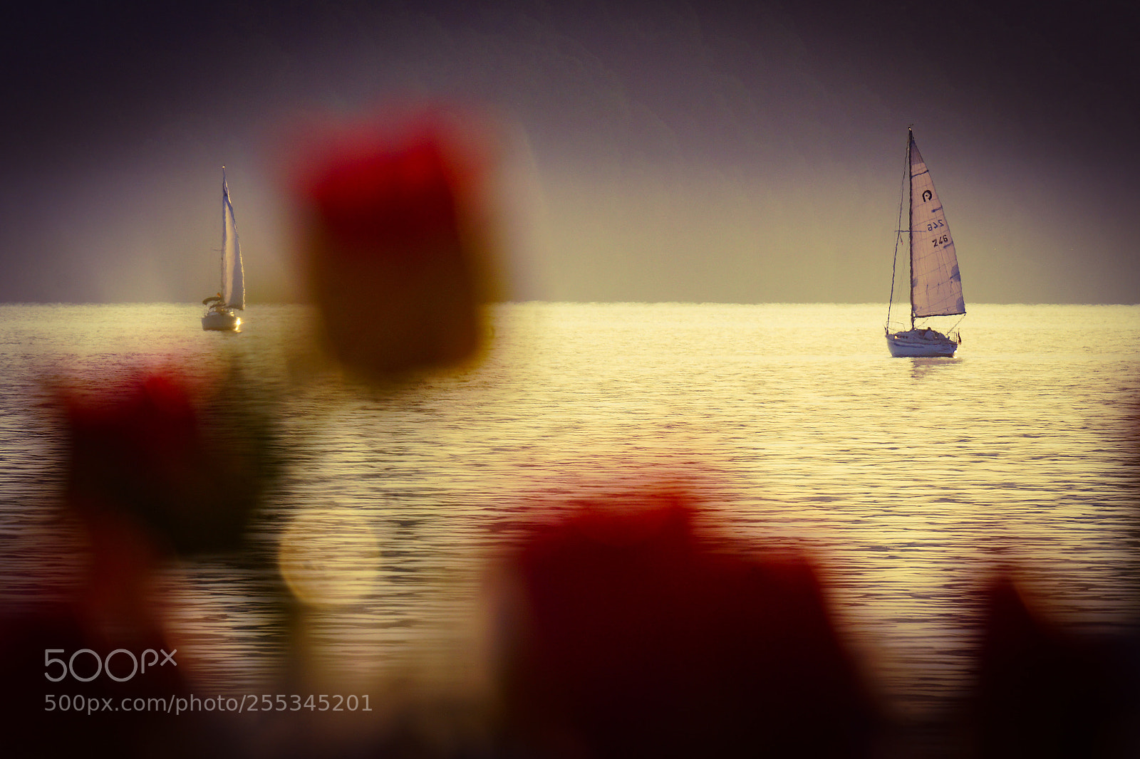 Sony SLT-A77 sample photo. Romance photography