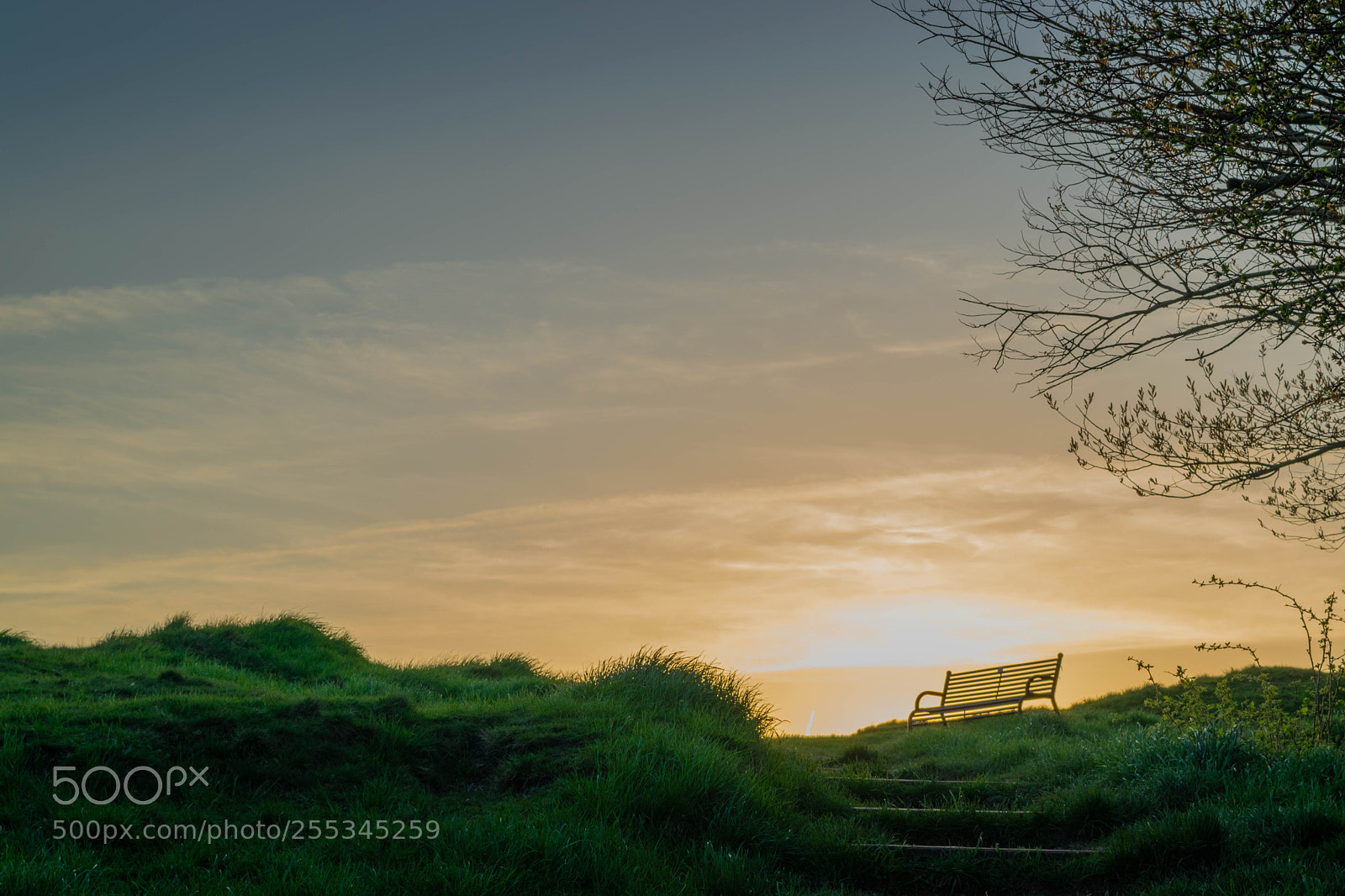 Nikon D5300 sample photo. Troopers hill sunset photography