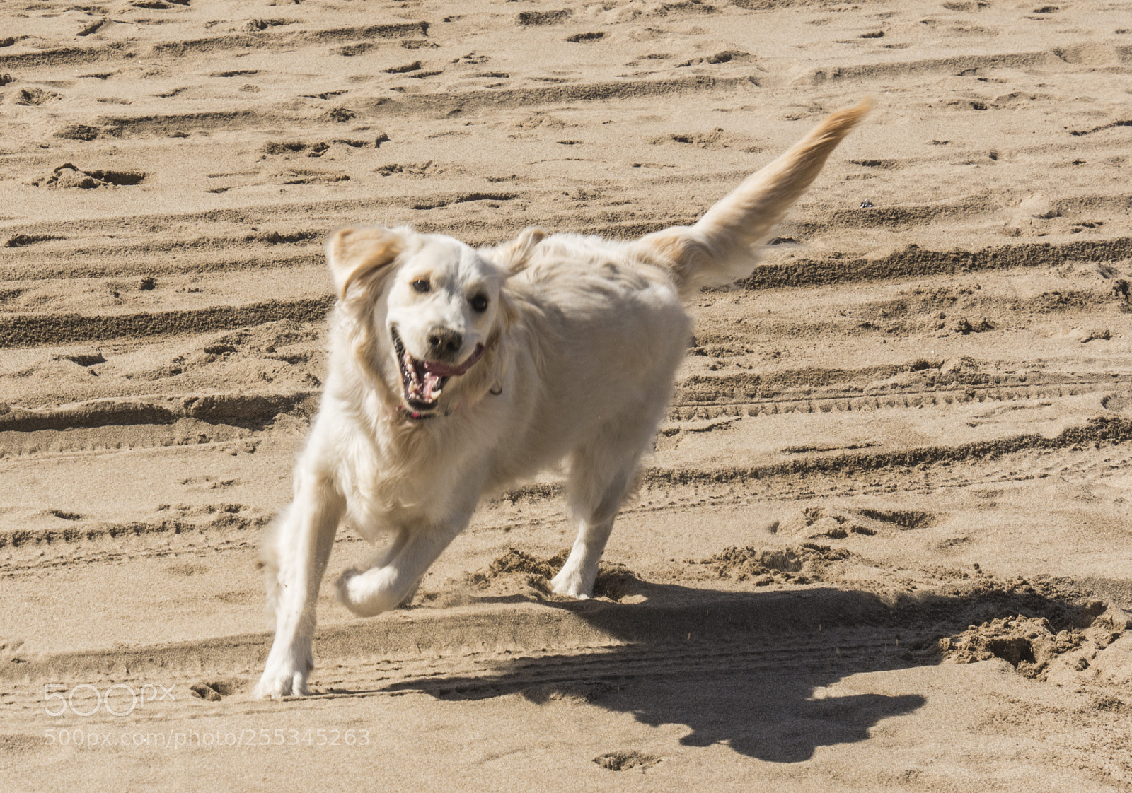 Nikon D7200 sample photo. La ona en la photography