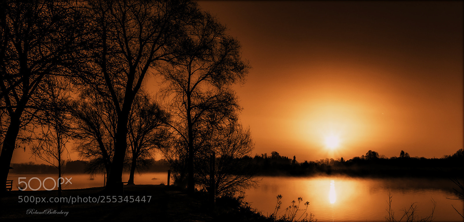 Sony a6000 sample photo. Only a star photography