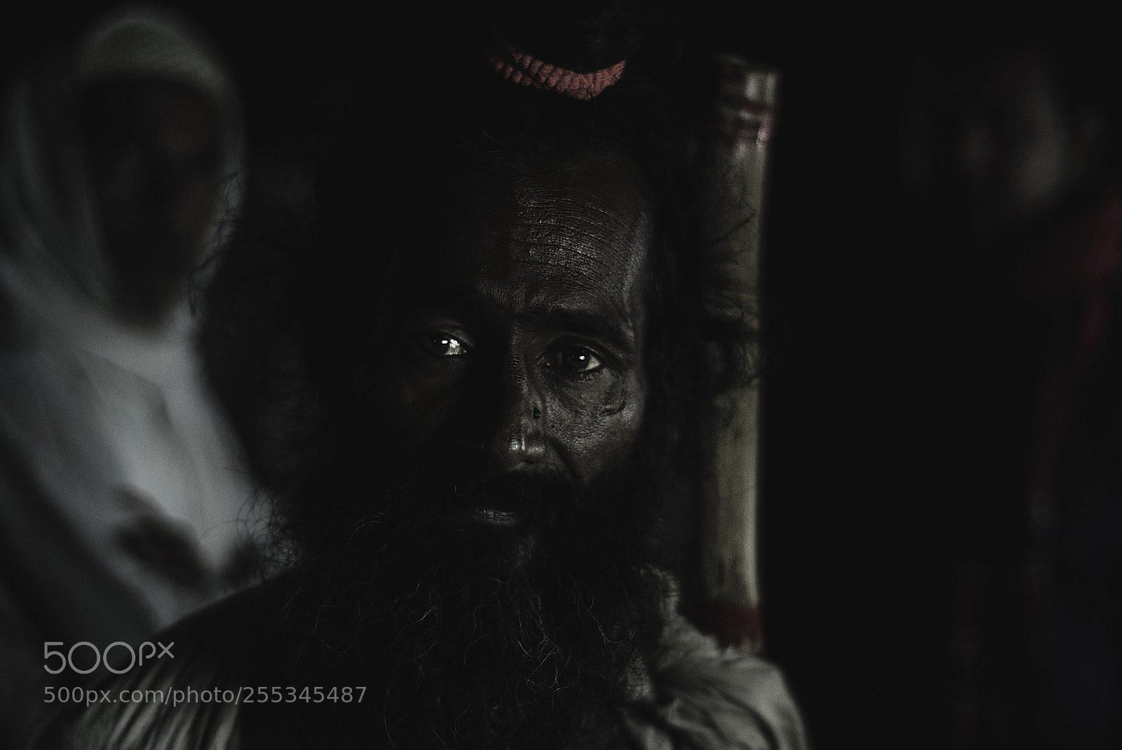 Nikon D7100 sample photo. The saints photography