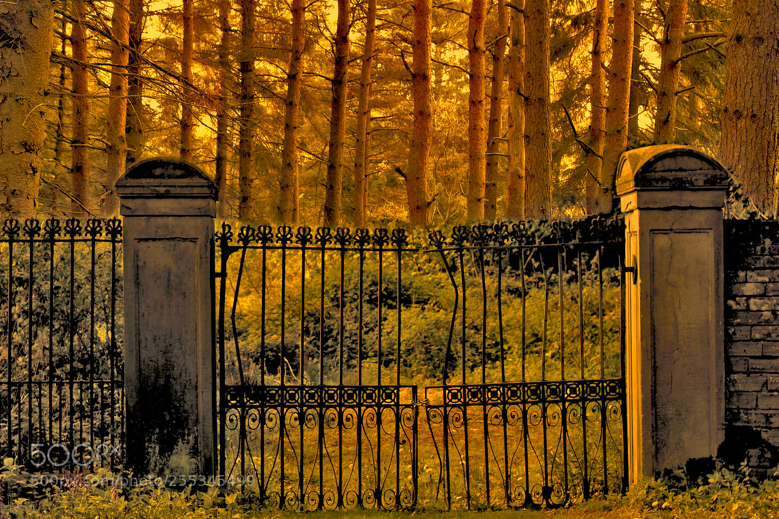 Canon EOS 100D (EOS Rebel SL1 / EOS Kiss X7) sample photo. Wrought iron gates photography