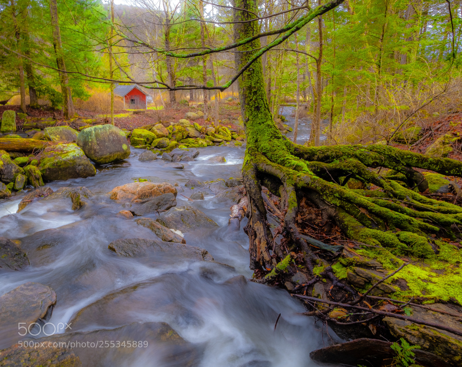 Fujifilm X-T20 sample photo. Small brook with rushing photography