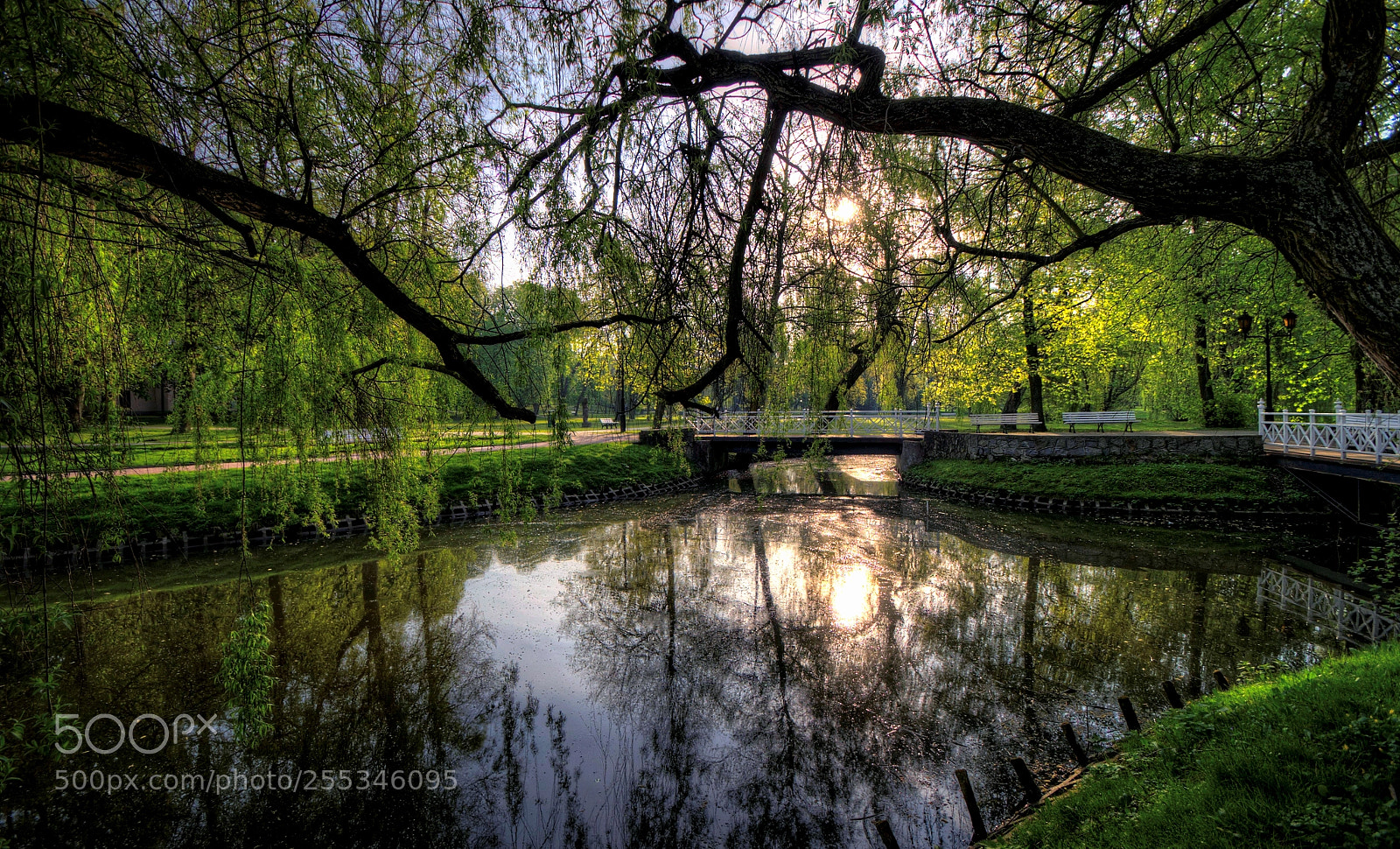 Pentax K-30 sample photo. Sunrise in the park photography