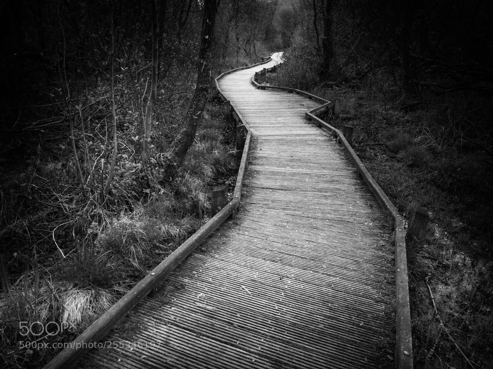 Panasonic Lumix DC-G9 sample photo. Le chemin du lac photography