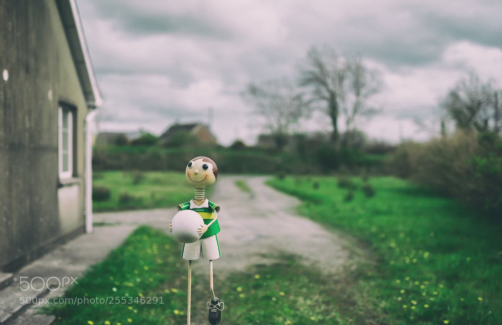 Nikon D810 sample photo. Metal boy returns photography
