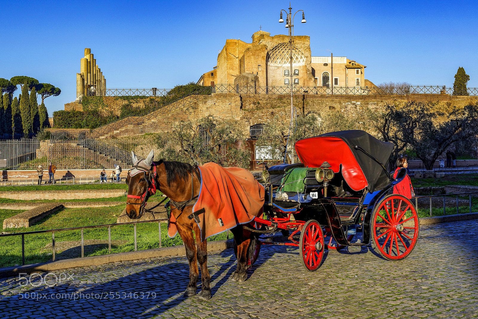 Nikon D800 sample photo. Touristic horse drawn carriage photography