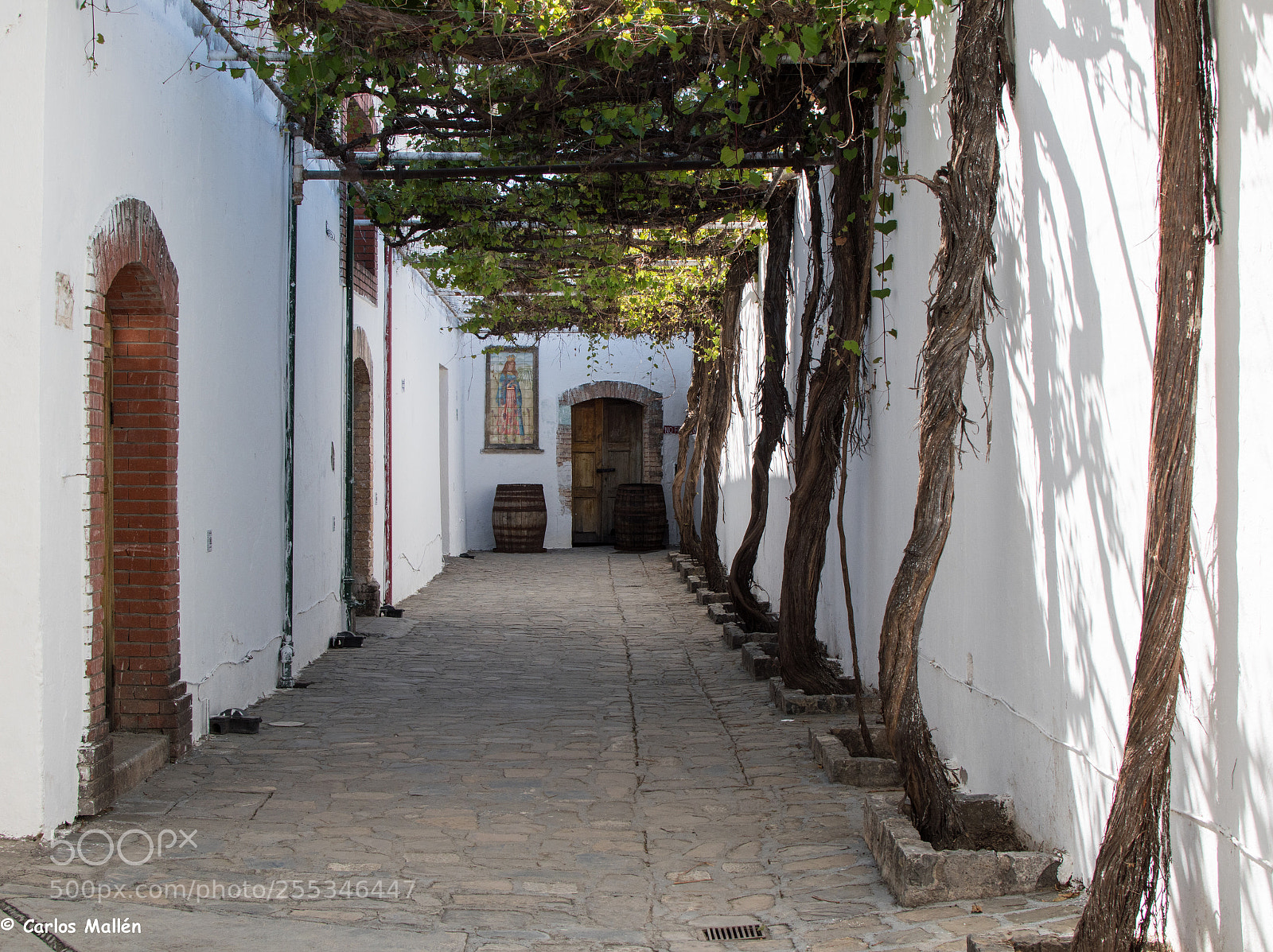 Nikon D5500 sample photo. Pasillo en casa madero photography