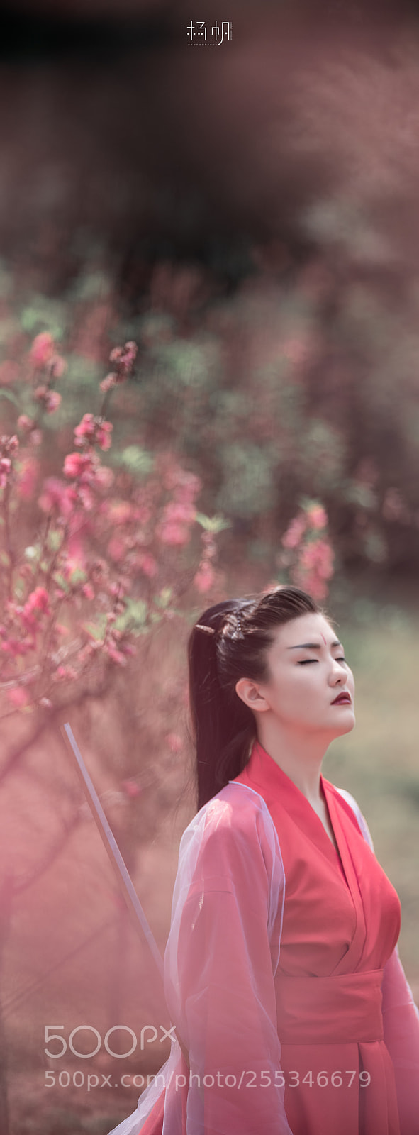 Fujifilm GFX 50S sample photo. 醉。桃花 photography