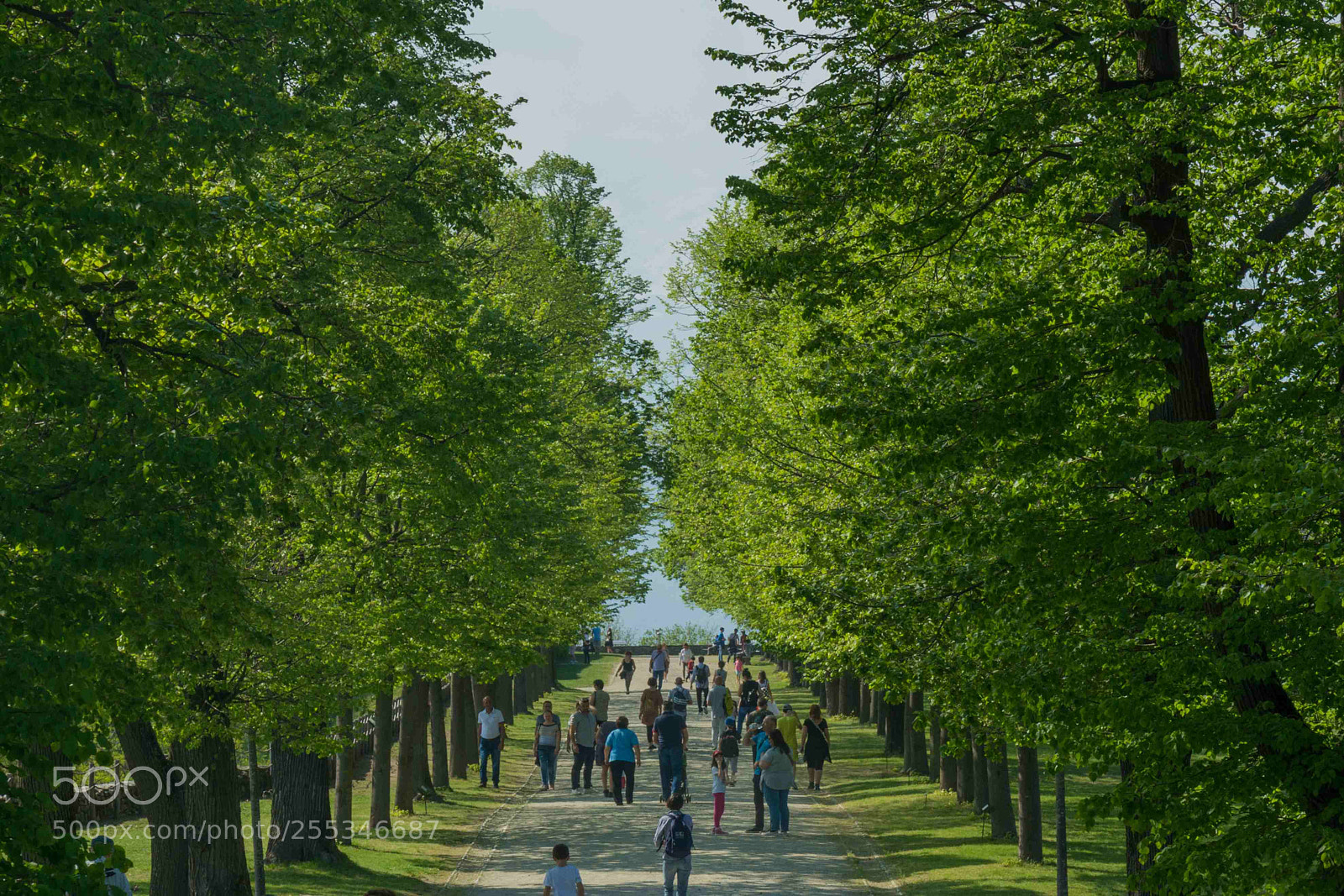 Nikon D5200 sample photo. Castle of masino piedmont photography