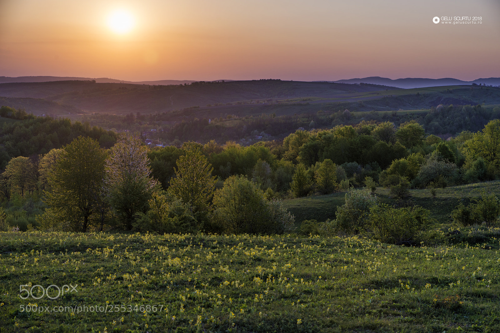 Nikon D610 sample photo. Spring photography