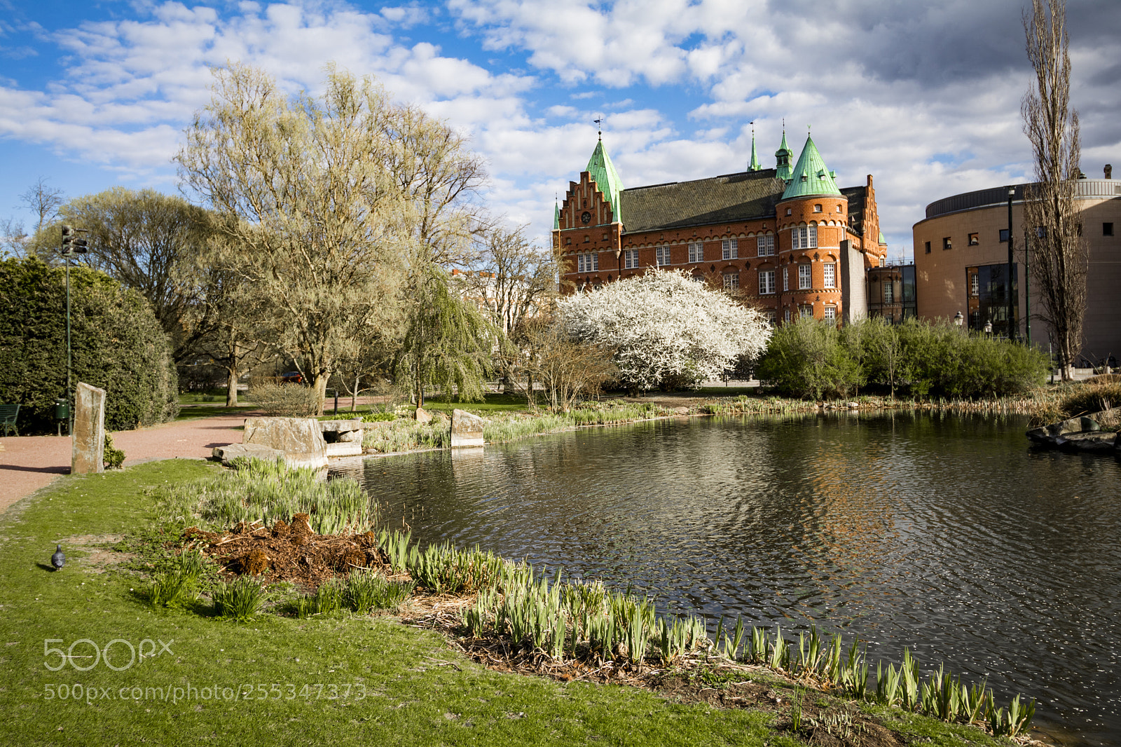 Canon EOS 80D sample photo. The park photography