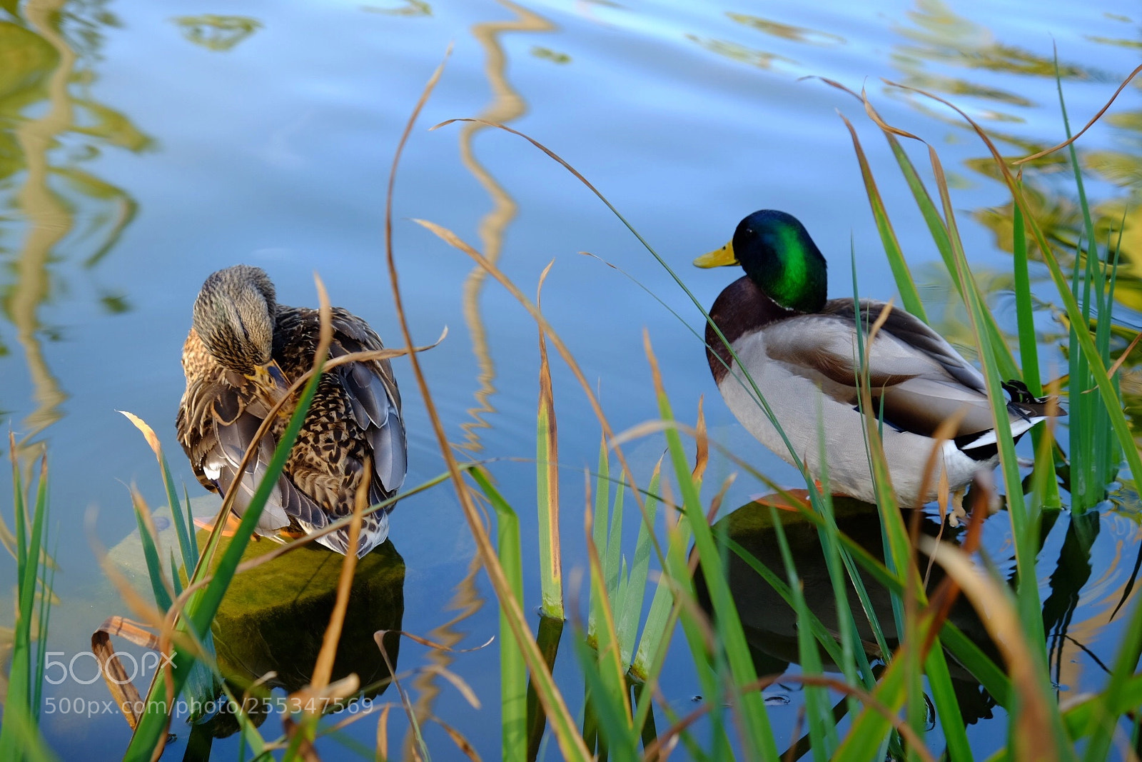 Fujifilm X-E2S sample photo. His n hers photography