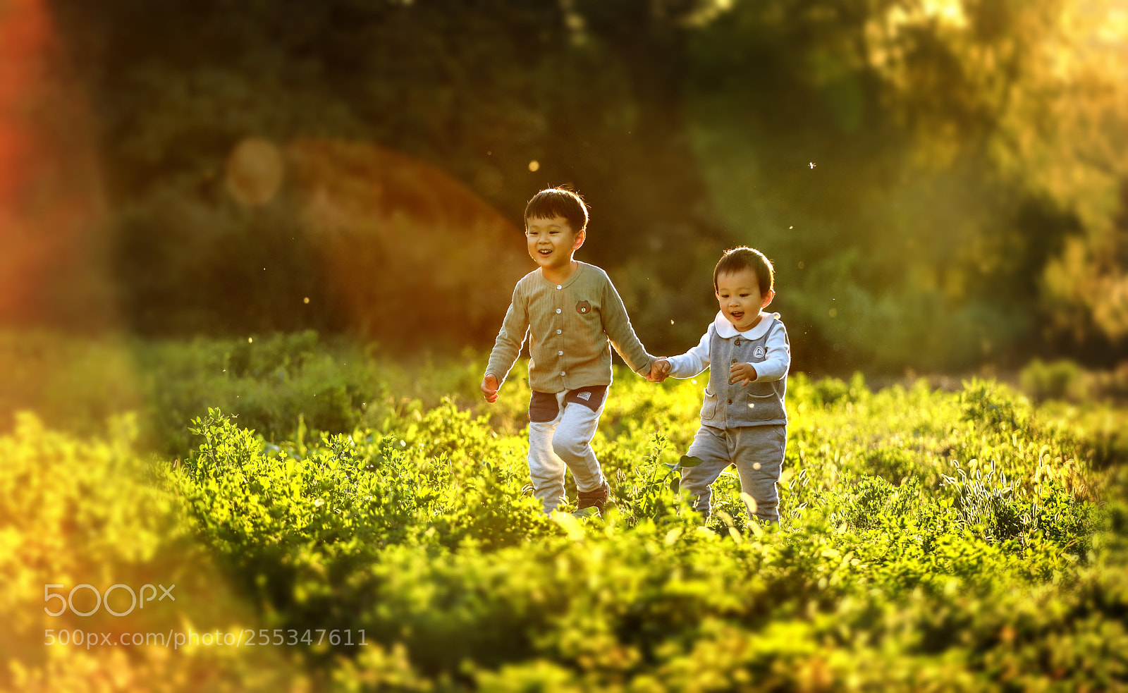 Canon EOS 5D Mark IV sample photo. 手拉手 photography